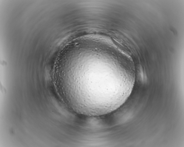 X0000091330616200708101427