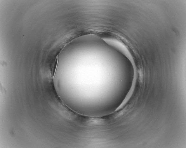 X0000091330617200708101427