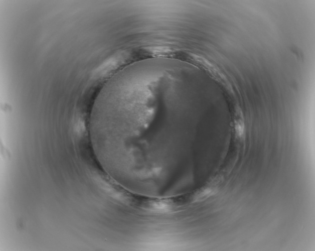 X0000091330618200708101427