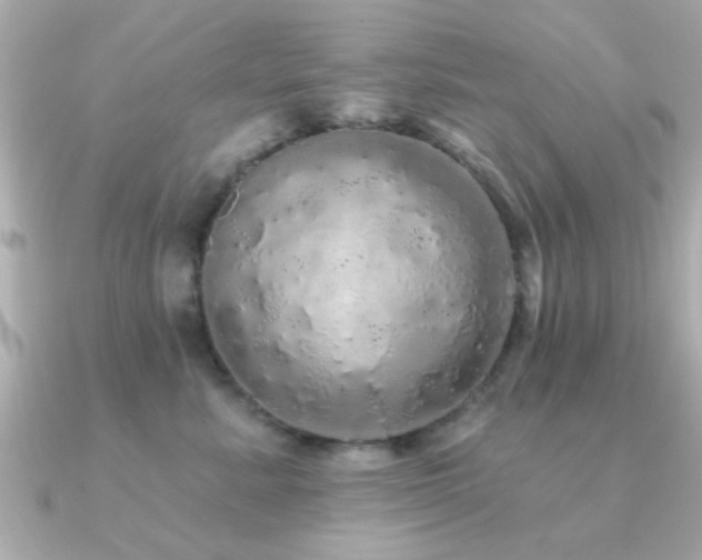 X0000091330619200708101427
