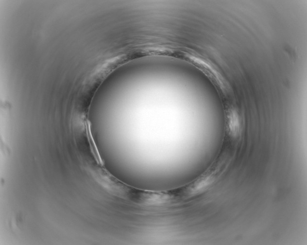 X0000091330621200708101427