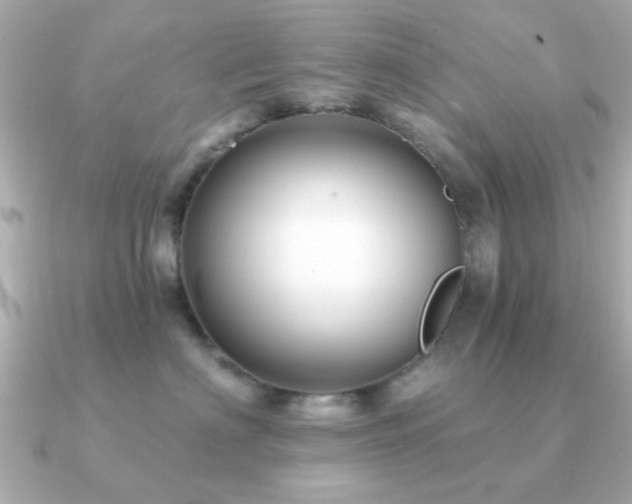 X0000091330622200708101427