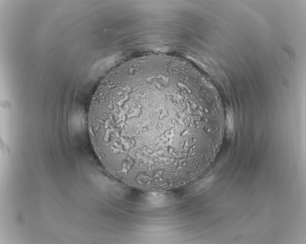 X0000091330623200708101427