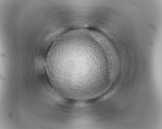 X0000091330624200708101427