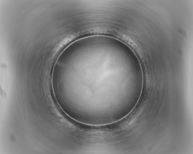 X0000091330625200708101426