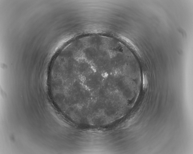 X0000091330627200708101426