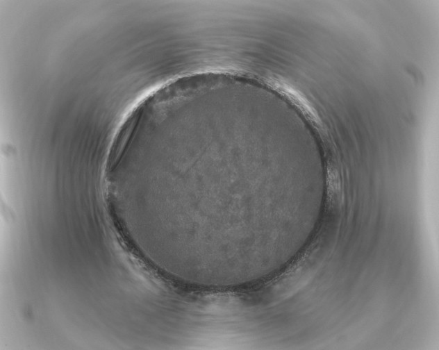 X0000091330628200708101426