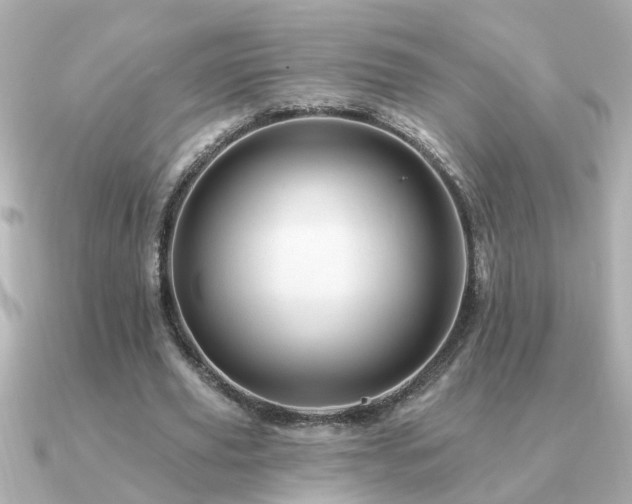 X0000091330629200708101426