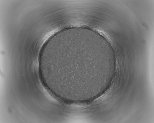 X0000091330630200708101426