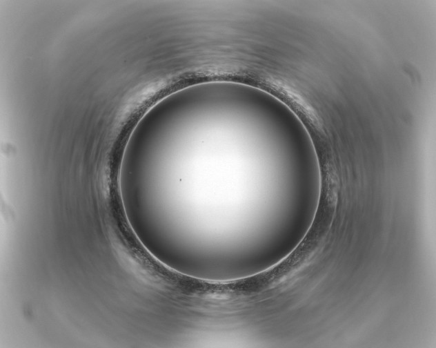 X0000091330631200708101426