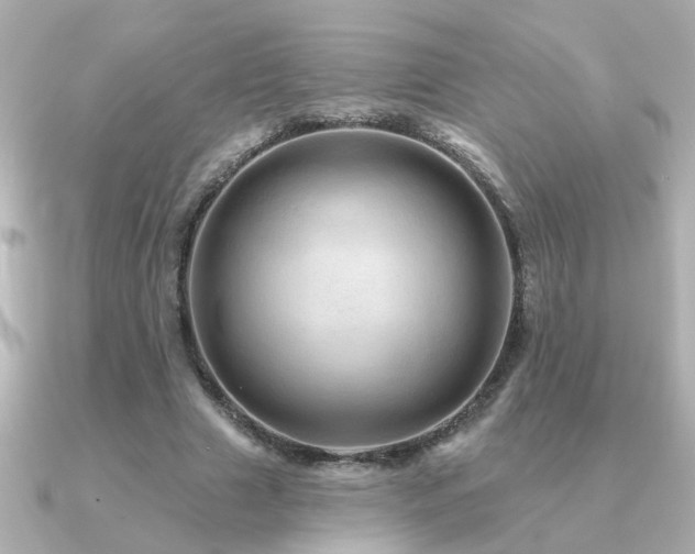 X0000091330633200708101426