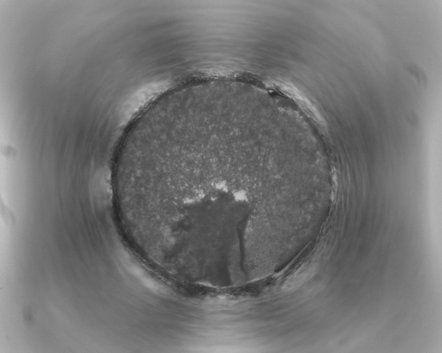 X0000091330634200708101426