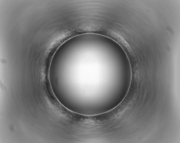 X0000091330635200708101426