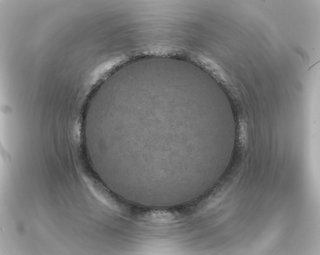 X0000091330636200708101426