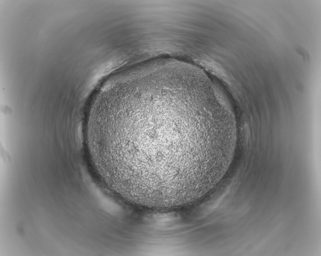 X0000091330638200708101426