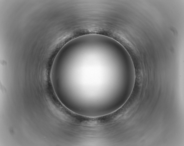 X0000091330639200708101426