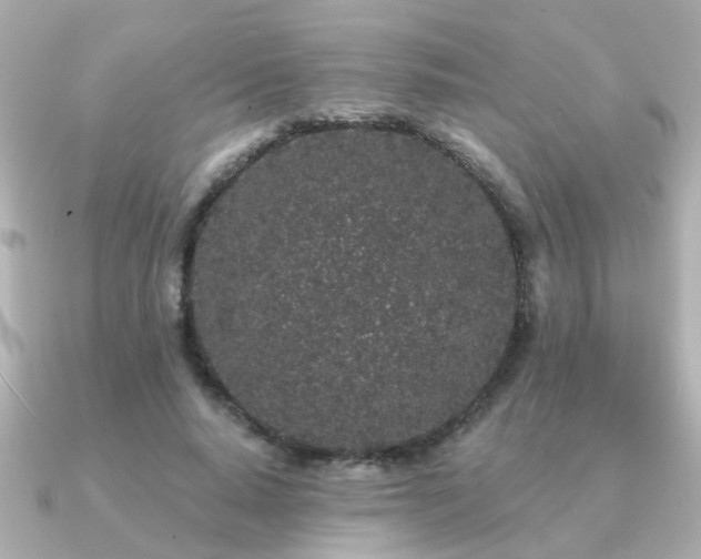 X0000091330640200708101426