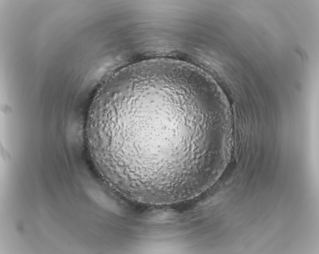 X0000091330642200708101426