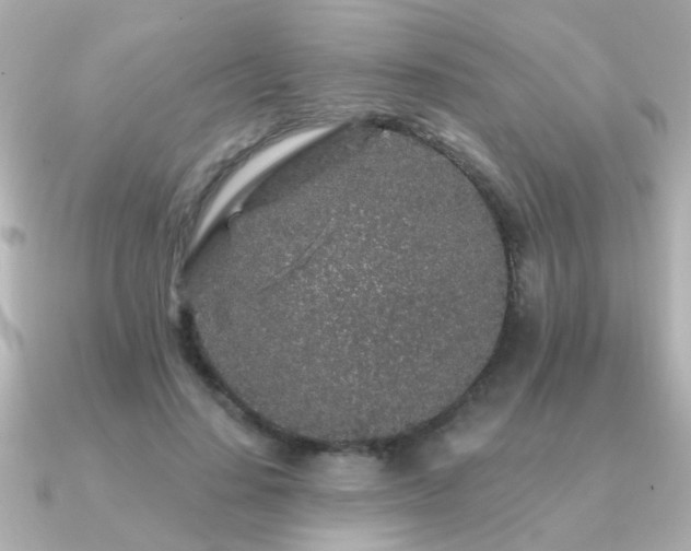 X0000091330644200708101426