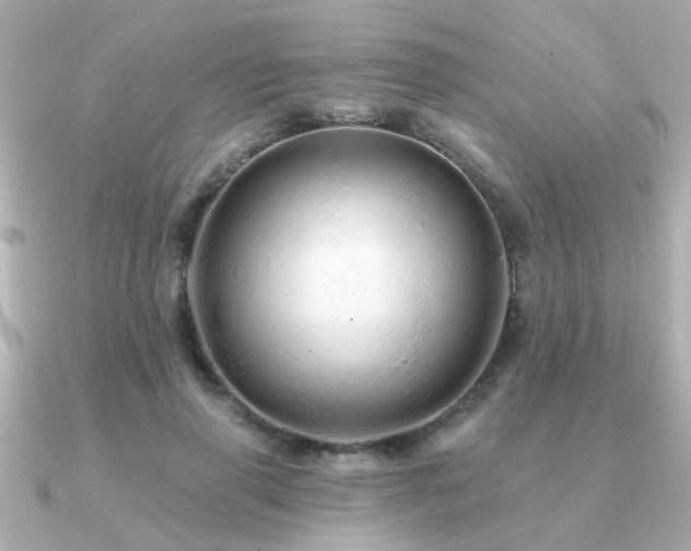 X0000091330645200708101426