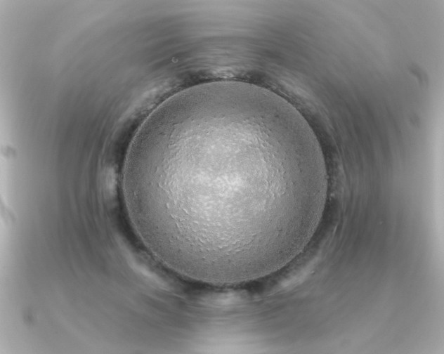 X0000091330646200708101426