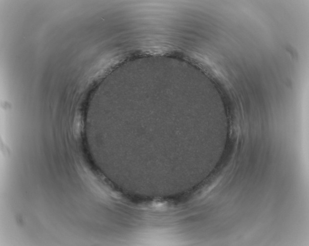 X0000091330647200708101426