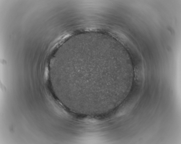 X0000091330648200708101426