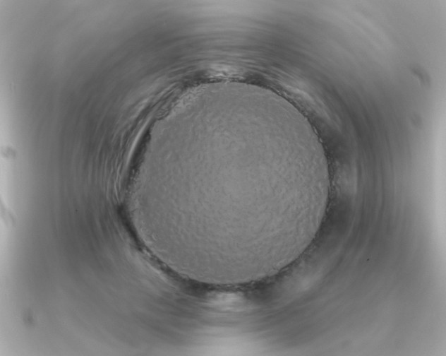 X0000091330649200708101426