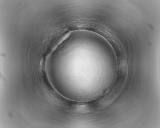 X0000091330651200708101426