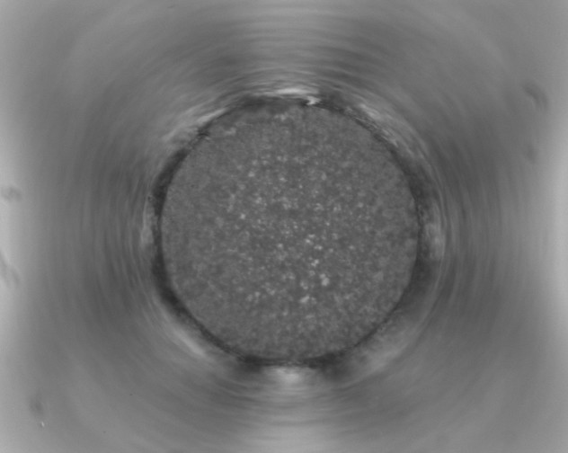 X0000091330654200708101427