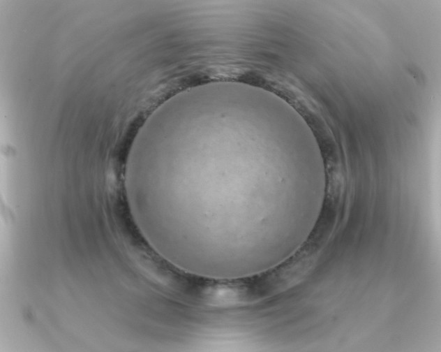 X0000091330655200708101427