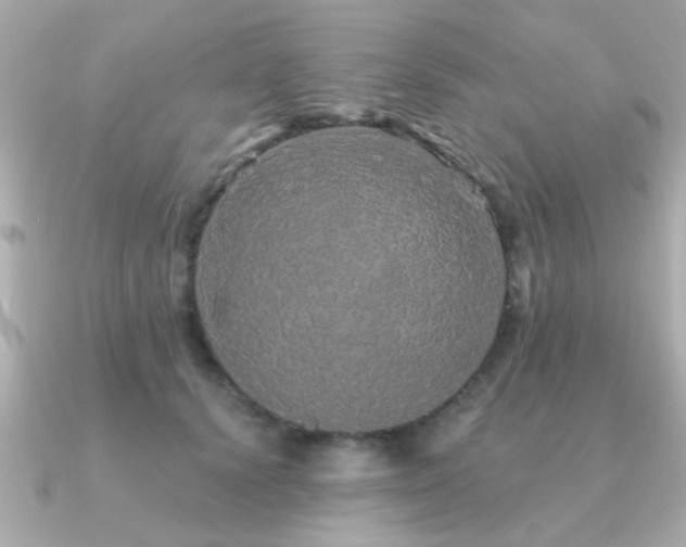 X0000091330656200708101427