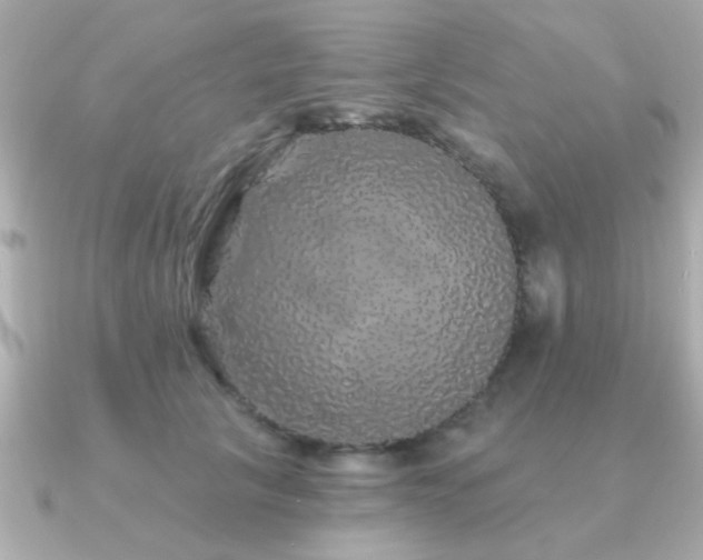 X0000091330657200708101427