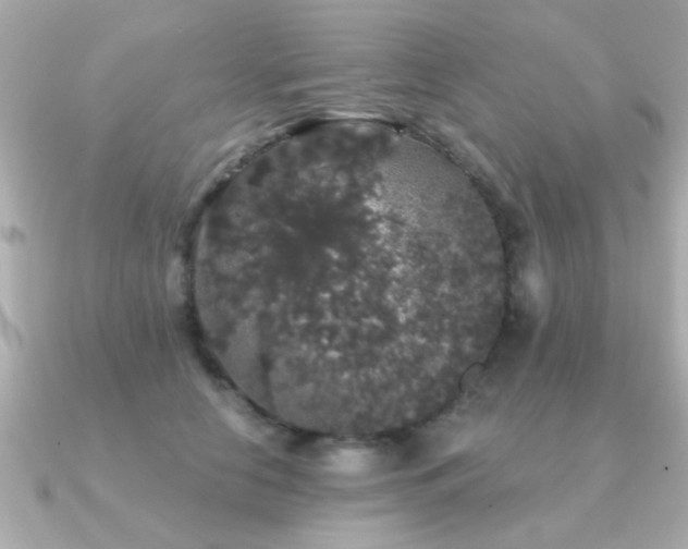X0000091330658200708101427