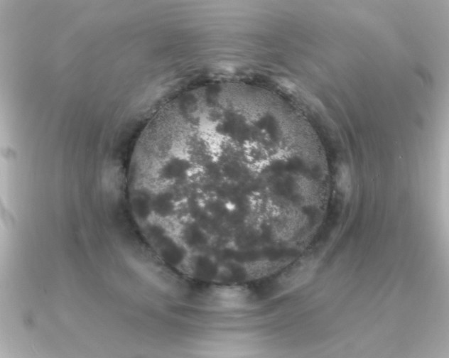 X0000091330659200708101427