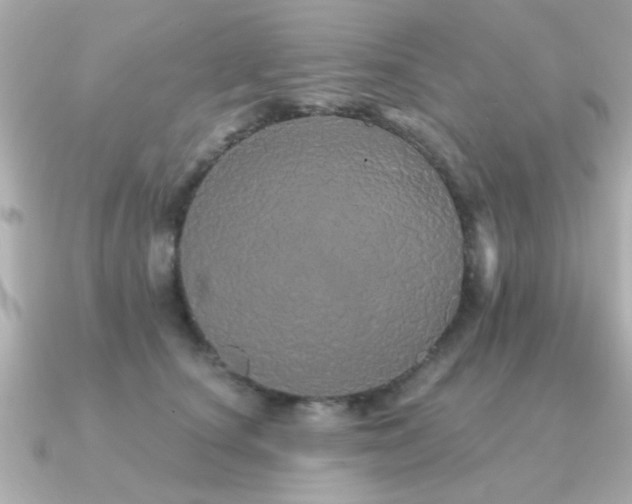 X0000091330660200708101427
