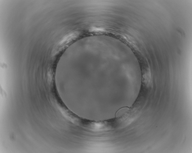 X0000091330662200708101427