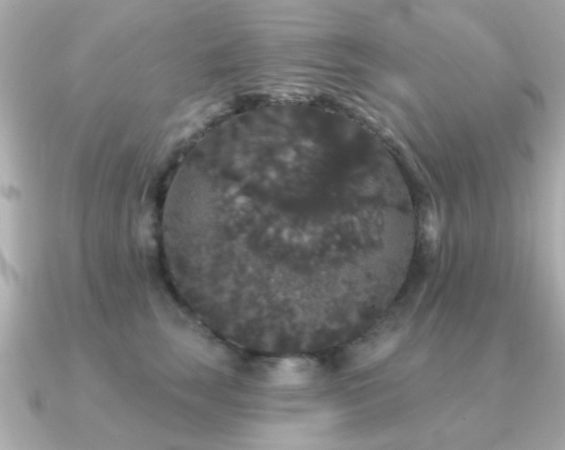 X0000091330663200708101427
