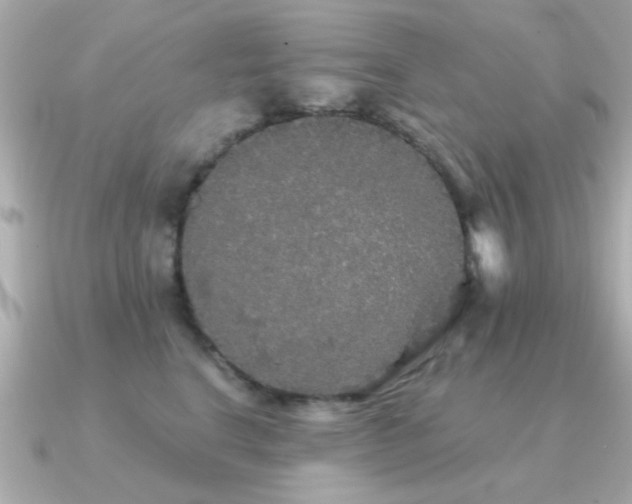 X0000091330664200708101427