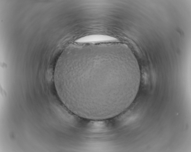 X0000091330665200708101427