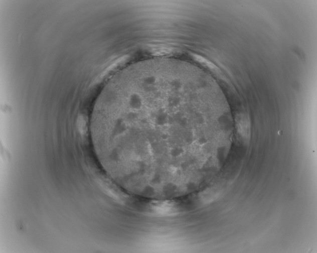 X0000091330667200708101427