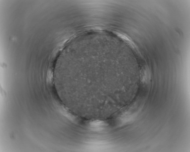 X0000091330669200708101427