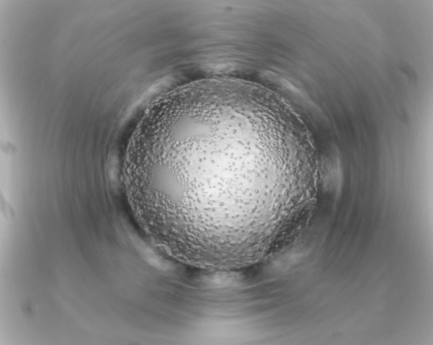 X0000091330670200708101427