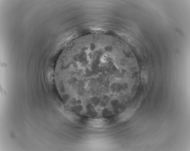 X0000091330671200708101427