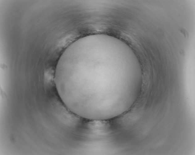 X0000091330672200708101427