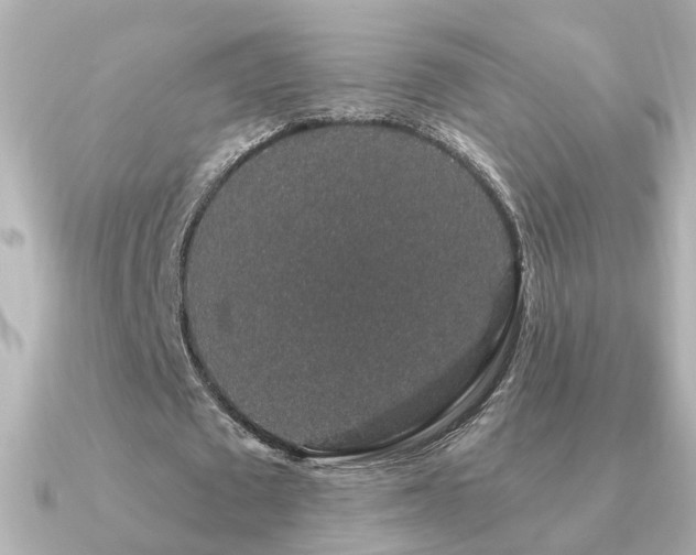 X0000091330673200708101426