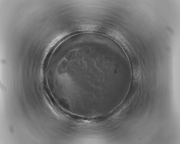 X0000091330674200708101426