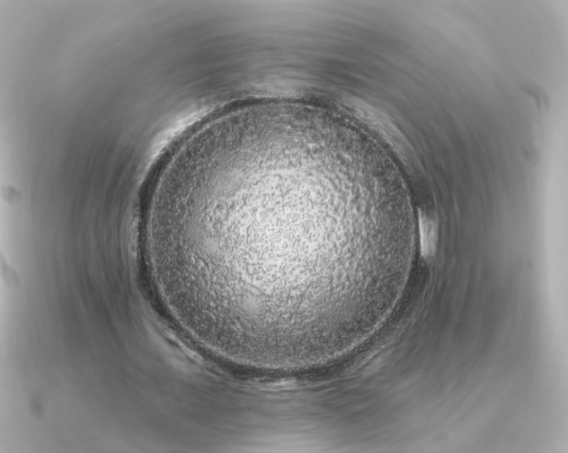 X0000091330675200708101426