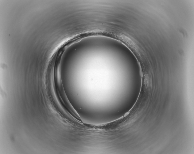 X0000091330676200708101426