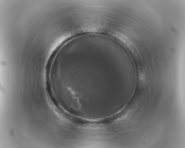 X0000091330678200708101426